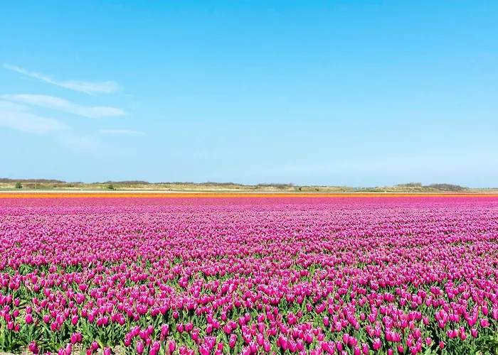Duinzicht In Callanstoog Village Square Διαμέρισμα *